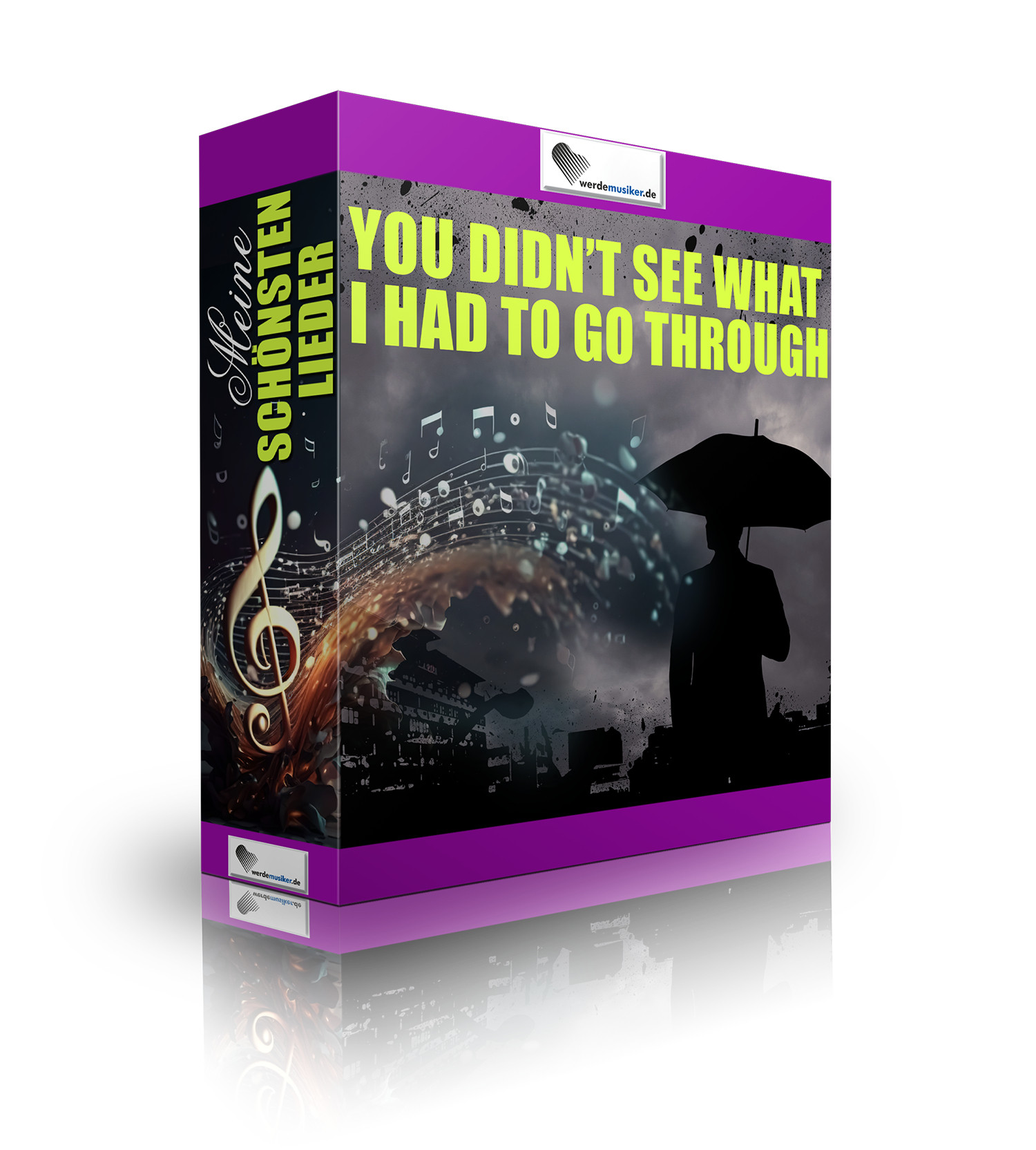 Meine schönsten Lieder Vol. 1 _You Didn’t See What I Had To Go Through Kopie